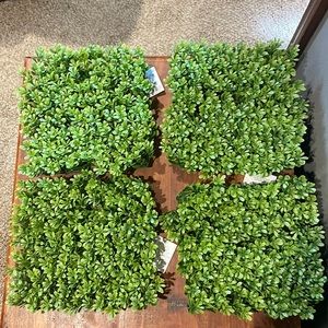 4 pieces boxwood tile